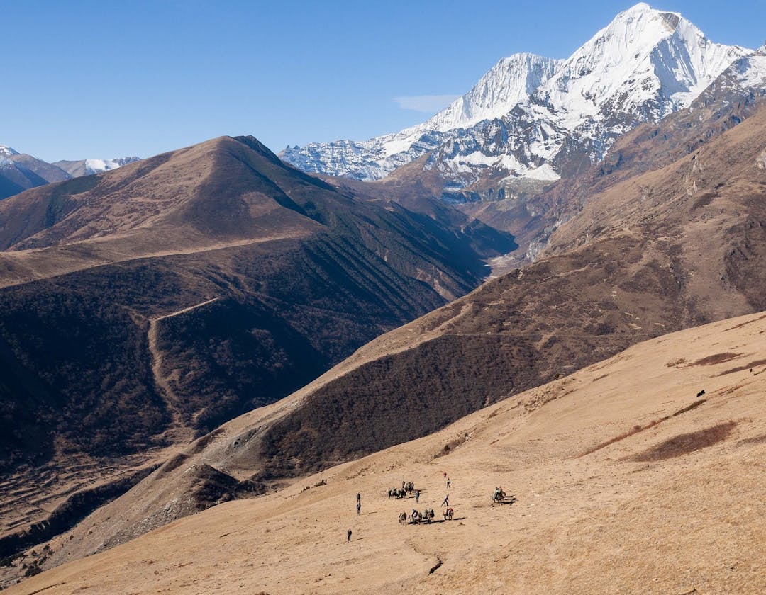 Laya Gasa Trek - 17 Days