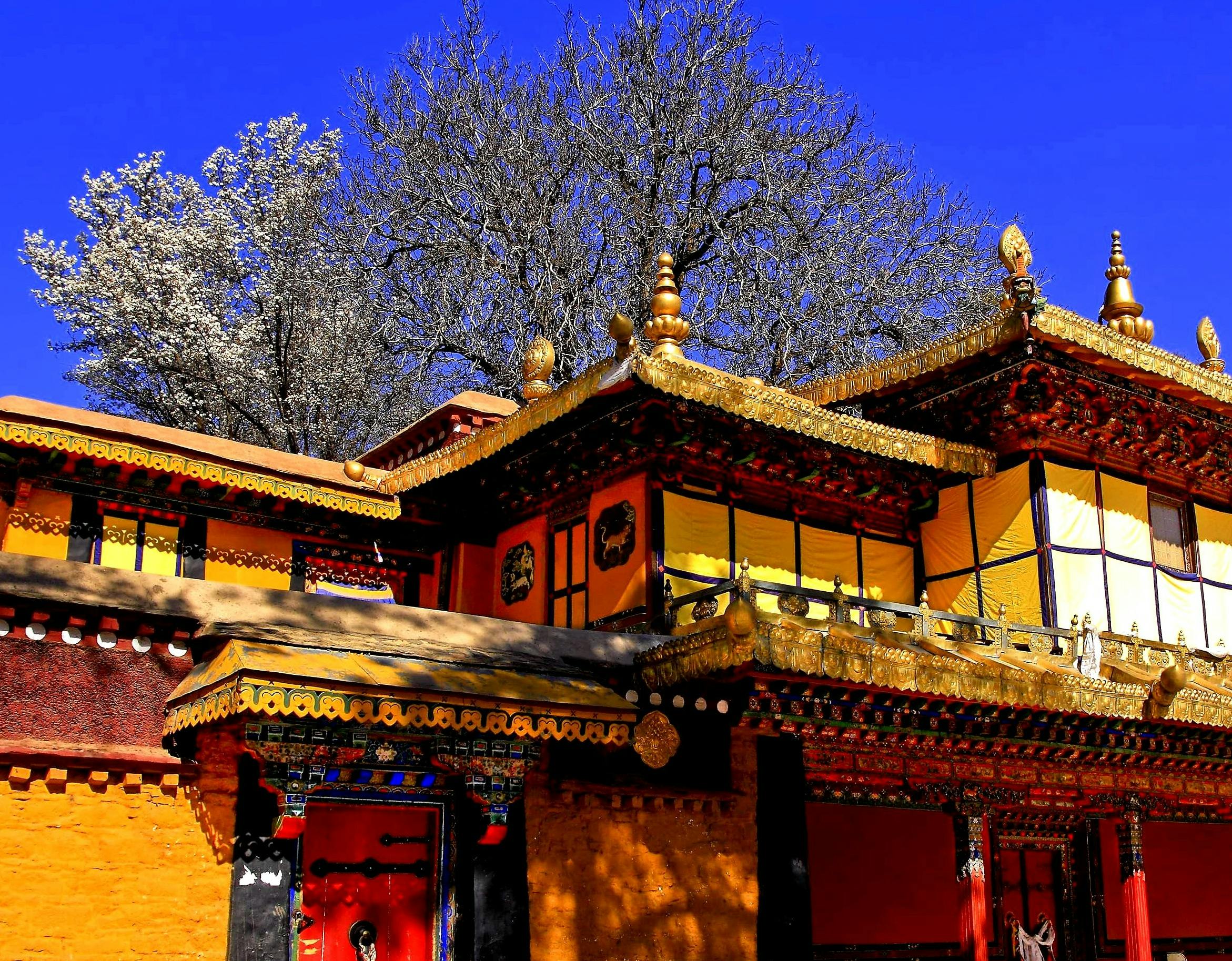 Shopping in Tibet