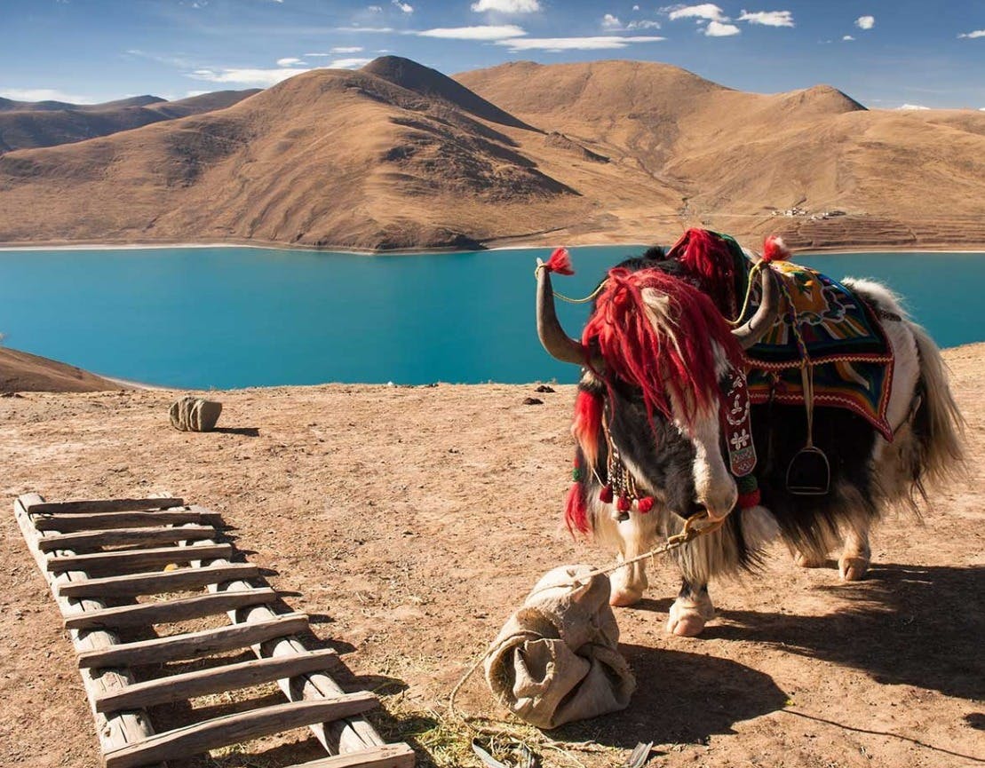 The Ultimate Tibet Travel Guide: What to Know Before You Go